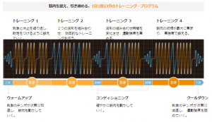 シックスパッド トレーニング内容