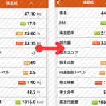 sixpad 効果 データ